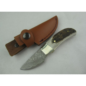 Damascus balde antler handle small beetle fixed blade knife UD401148 